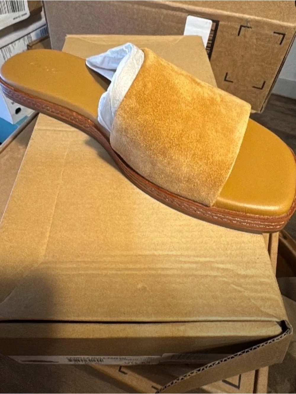 Vince Canella Mule in Tan Suede